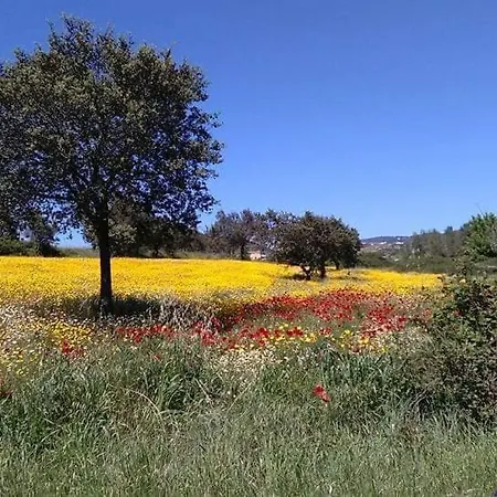 El Manantial Holiday home